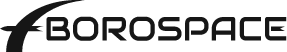 logo borospace